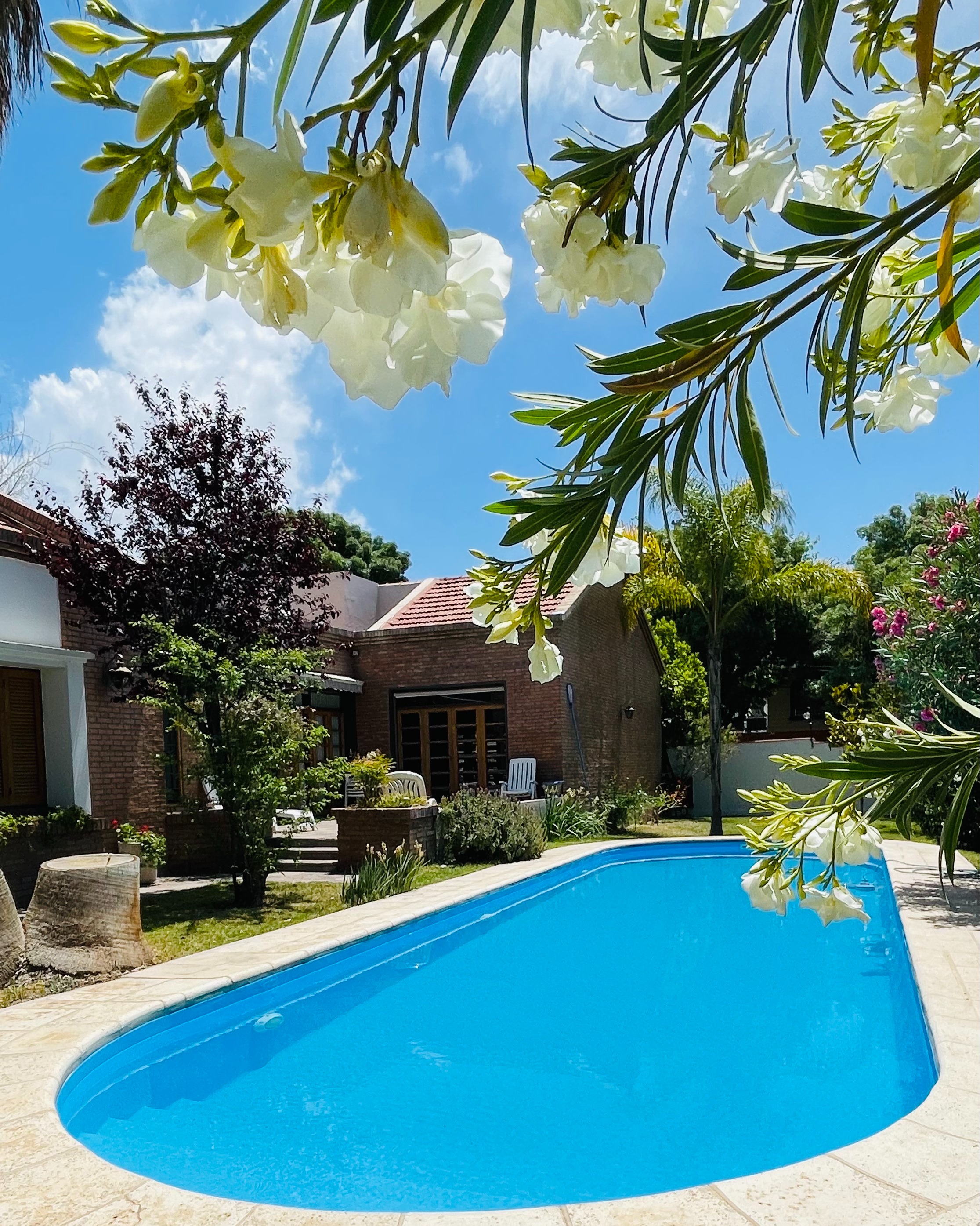 Piscina y entorno verde de Blue Sky Mendoza